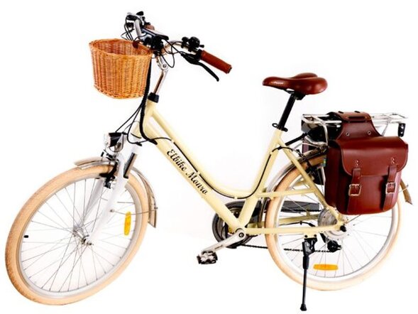 Электровелосипед ELBIKE MONRO